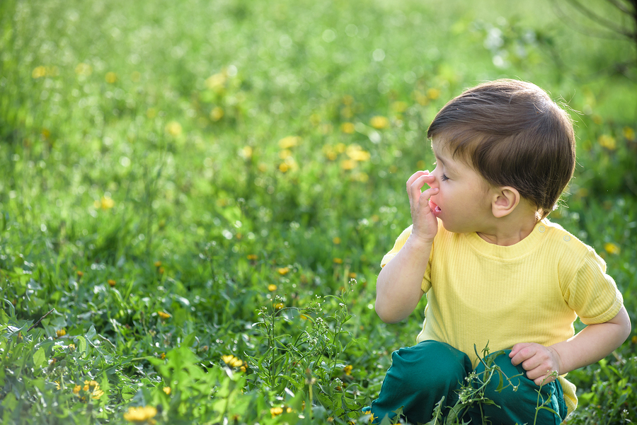 Little caucasian boy has allergies from yellow flower