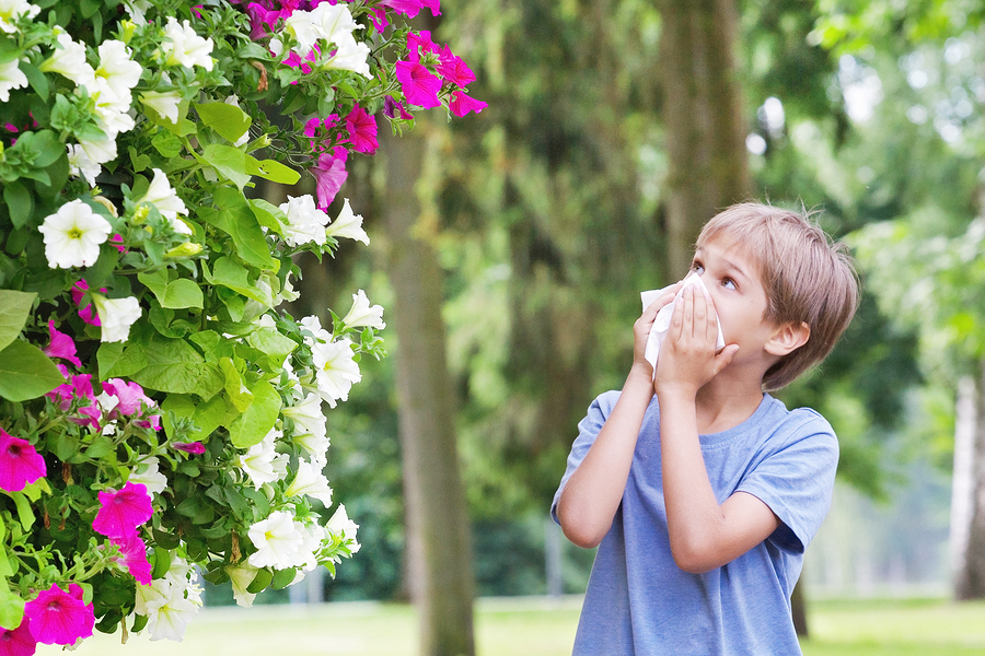 Allergy. Child is blowing his nose near tree in bloom.