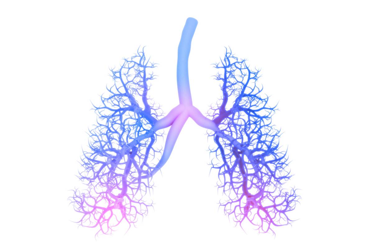 Anatomy of a Childhood Lung