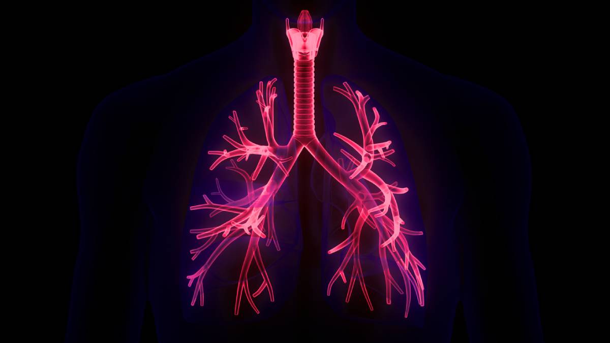 concept for lungs how to find the right pulmonologist